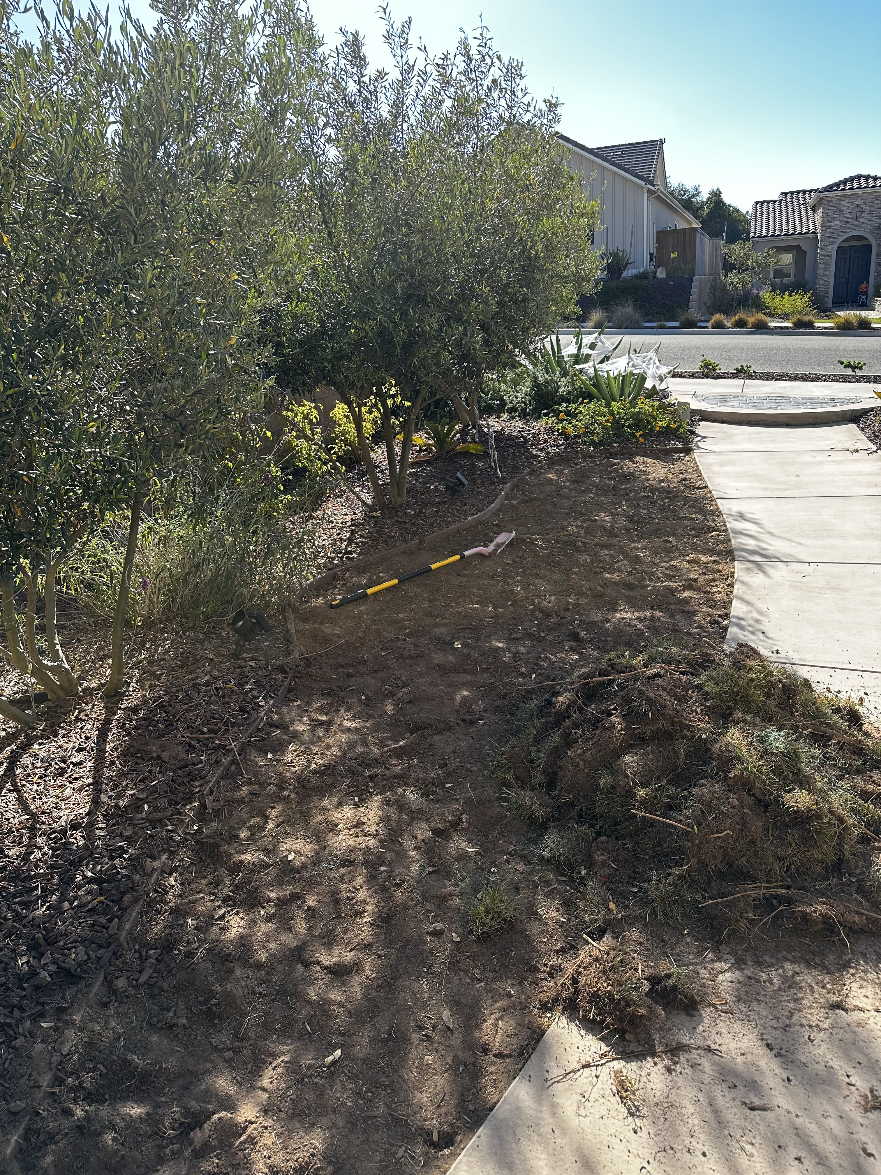 Modern Backyard Fencing